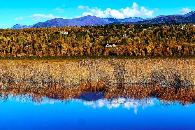 Up to 10 Person Seward to Anchorage Cruise Ship Transfer - The Sum Up