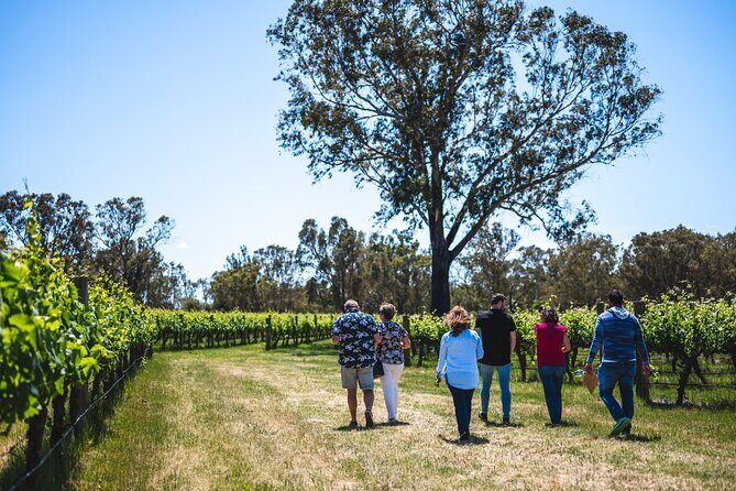 Upper Reach Winery: Swan Valley Winery and Vineyard Tour - The Itinerary in Detail