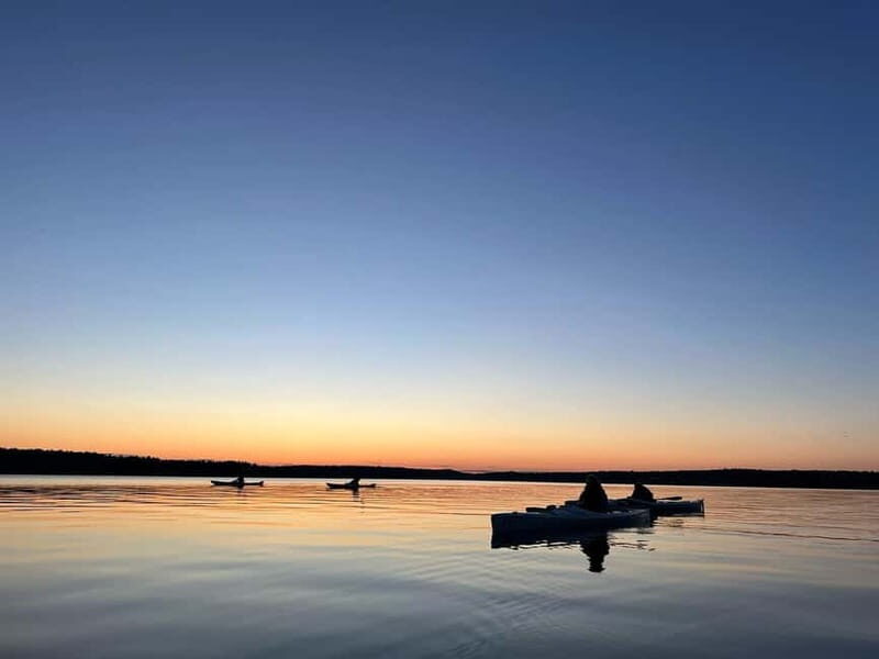 Uppsala: Canadian Canoe Rental - Who Will Love This Experience?
