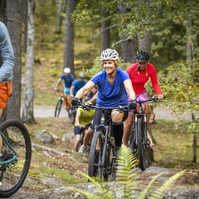 Uppsala: Mountain Bike Rental with Helmet - Who Will Love This Experience?