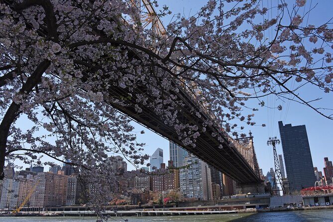 Uptown to Midtown Roosevelt island tour - Who Should Consider This Tour?