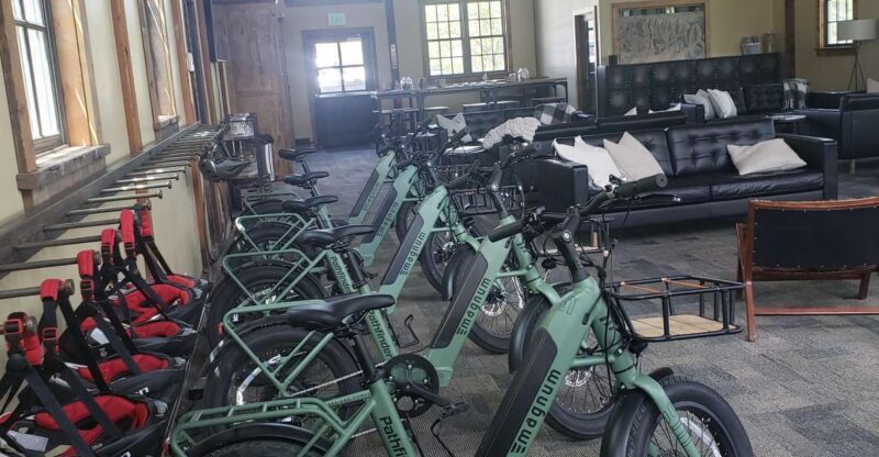 Urban Art and Historical Electric Bike Tour - An In-Depth Look at the Urban Art and Historical Electric Bike Tour