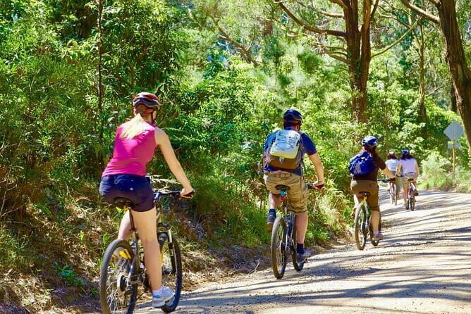 Urban Jungle Trail Cycling Tour from Colombo - Key Points