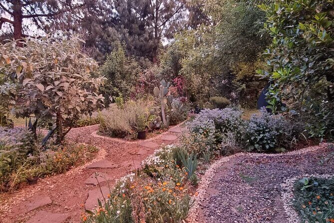 Urban Orchard in Desierto de los Leones in Mexico City - An In-Depth Look at the Urban Orchard Experience