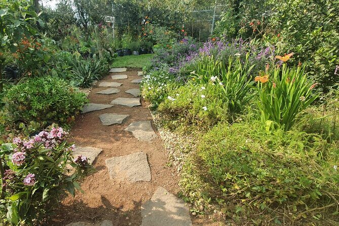 Urban Orchard in Desierto de los Leones in Mexico City - Final Thoughts: Is It Worth It?