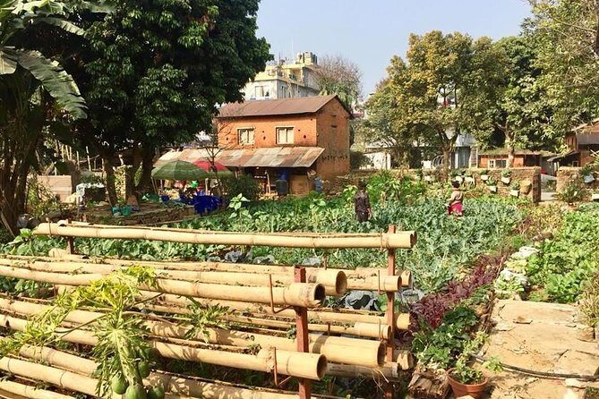 Urban Organic Farm Tour with Authentic Nepali Lunch in Pokhara Nepal - Key Points