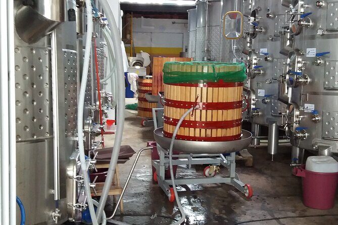 Urban winery tour, premium tasting flight & tapas - The Tasting Experience