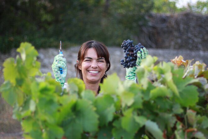 Urban winery tour, premium tasting flight & tapas - Who Will Love This Tour?