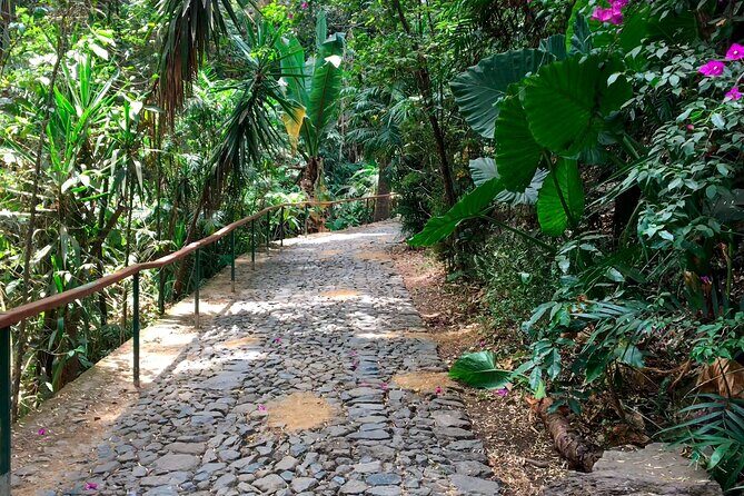 Uruapan Tour - Frequently Asked Questions