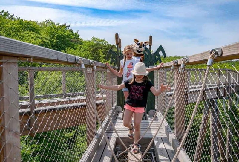 Usedom: Treetop Walk Adventure on Usedom Island - FAQ
