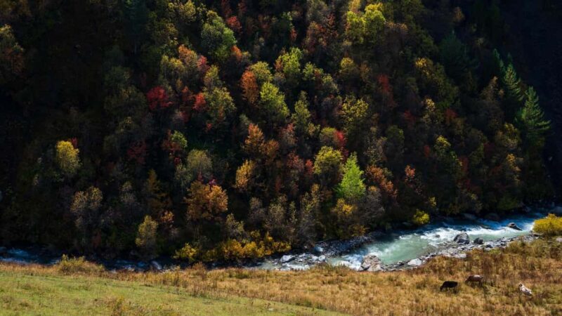 Ushguli: Horse Riding Tour to Shkhara Glacier - An In-Depth Look at the Horse Riding Tour in Ushguli