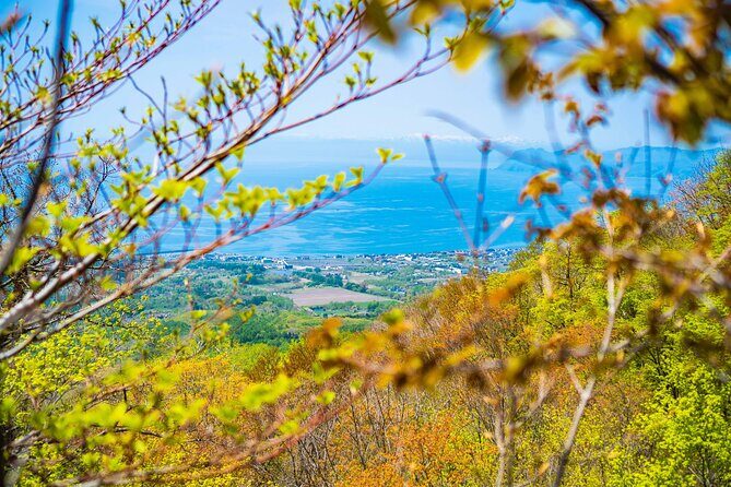 Usuzan Volcano Guided Hiking Private Tour - FAQ