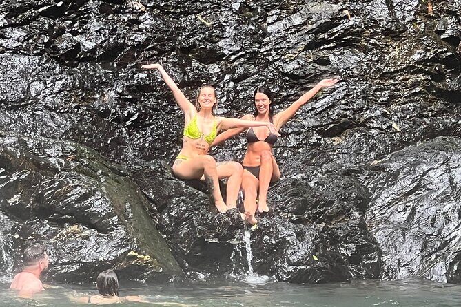 UTV 4wd Cassowary Falls and Daintree Rainforest Adventure tour - Introduction