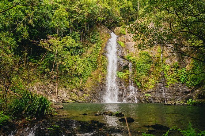 UTV 4wd Cassowary Falls and Daintree Rainforest Adventure tour - Key Points