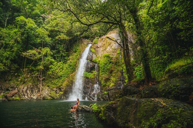 UTV 4wd Cassowary Falls and Daintree Rainforest Adventure tour - What to Expect When Participating