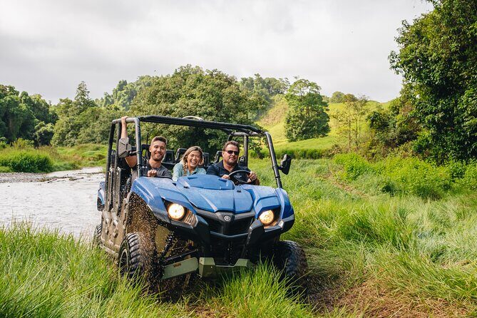 UTV 4wd Cassowary Falls and Daintree Rainforest Adventure tour - The Sum Up