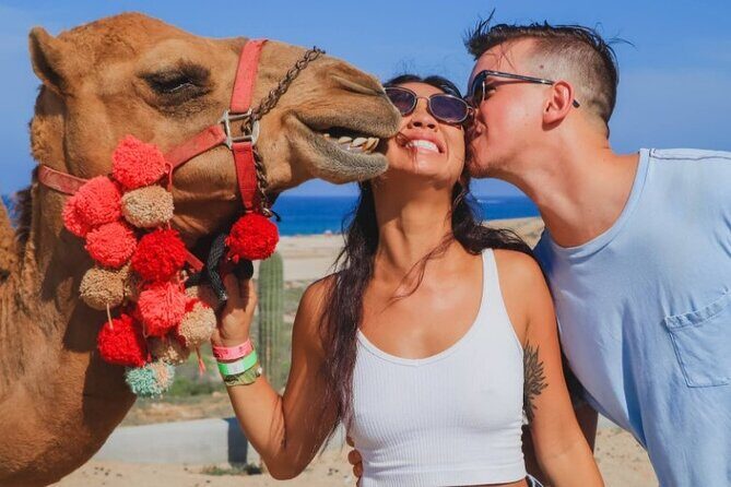 UTV and Camel Ride in the Cabo Desert - FAQ