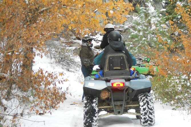 UTV OR Snow Mobile & Snowshoe Winter Adventures from Reno - The Breakdown of the Experience