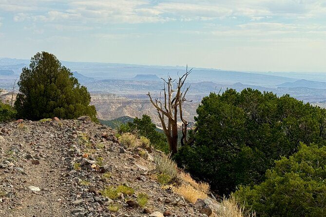 UTV tour to Cathedral Valley Overlook at 9,500 feet - Analyzing the Value