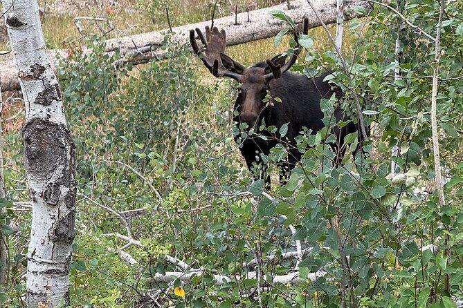 UTV Wilderness Experience in The Uinta Mountains - Final Thoughts