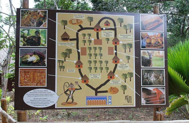 Uxmal and Choco Story Private Tour - A Close Look at the Uxmal and Choco Story Private Tour