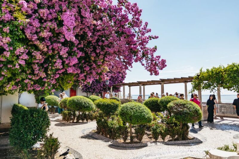 Vadio: Lisbon Old Town Private Tuk Tuk Tour - Exploring the Heart of Lisbon: What to Expect