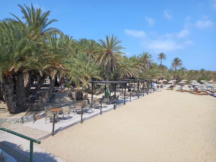 Vai Palm Beach Full Day Private Tour - Key Points