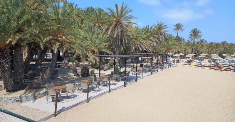 Vai Palm Beach Full Day Private Tour - An In-Depth Look at the Vai Palm Beach Full Day Private Tour