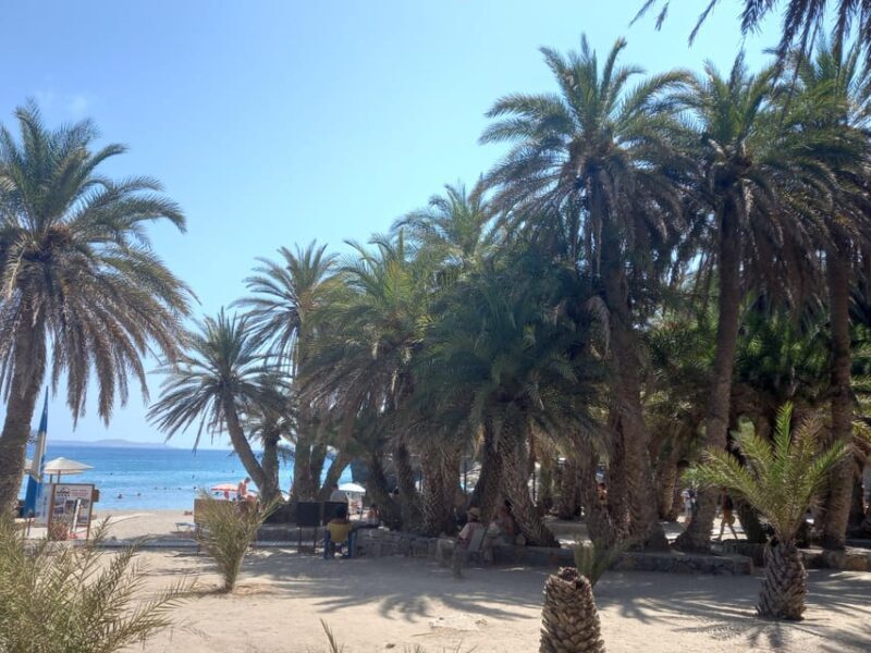 Vai Palm Beach Full Day Private Tour - Transportation & Logistics