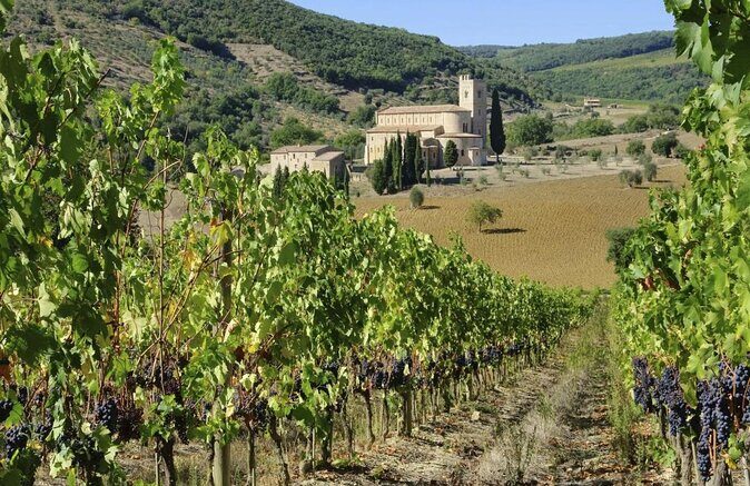 Val d'Orcia Brunello Wine Tour with Montalcino and Montepulciano - A Detailed Look at the Val dOrcia Brunello Wine Tour with Montalcino and Montepulciano