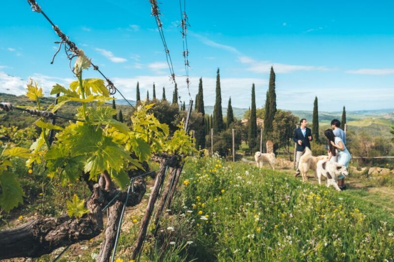 Val d'Orcia: Wine and Food Tasting at a Podere - In-Depth Review of the Experience