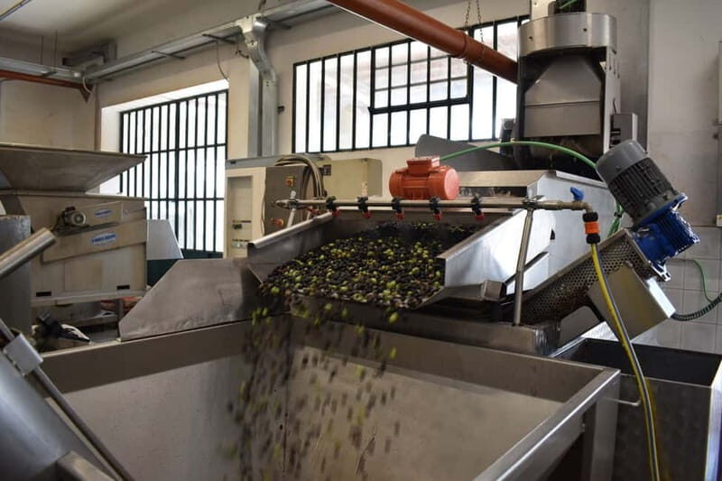 Val Prino: Oil Wine and Orti di Liguria - Who Is This Tour Best For?