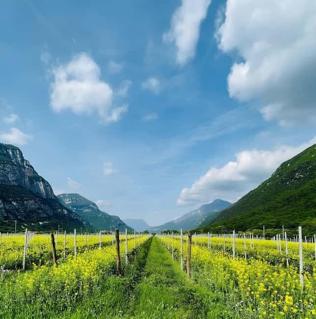 Valdadige: Winery Tour with 4 Wine Tastings - The Itinerary Breakdown