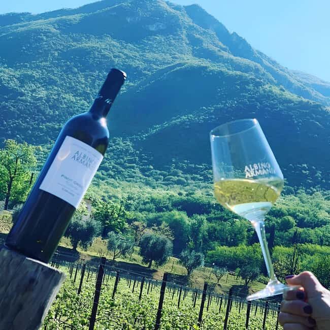 Valdadige: Winery Tour with 4 Wine Tastings - Practical Details & What to Expect