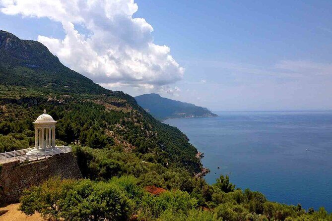 Valdemossa Half Day Tour - Transportation and Group Dynamics