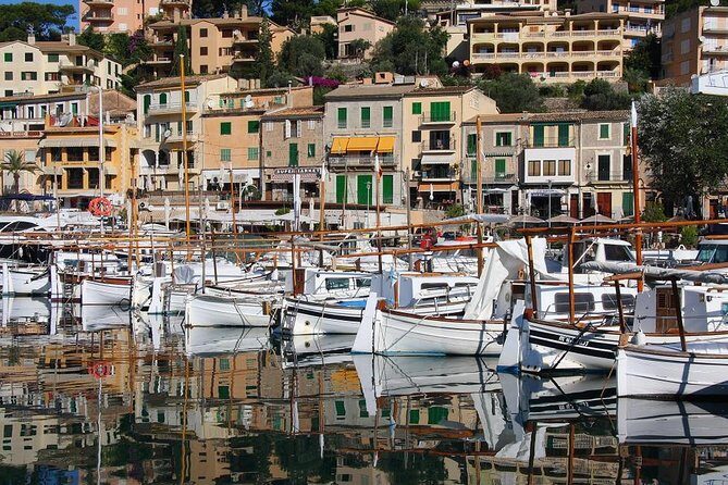 Valdemossa Half Day Tour - What Reviewers Say
