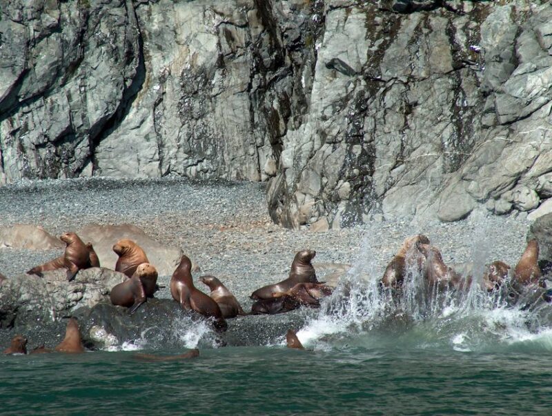 Valdez: 6-Hour Columbia Glacier Cruise - FAQ
