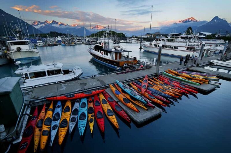 Valdez: Gold Creek Coastal Journey Kayak Tour - Who Will Love This Tour?
