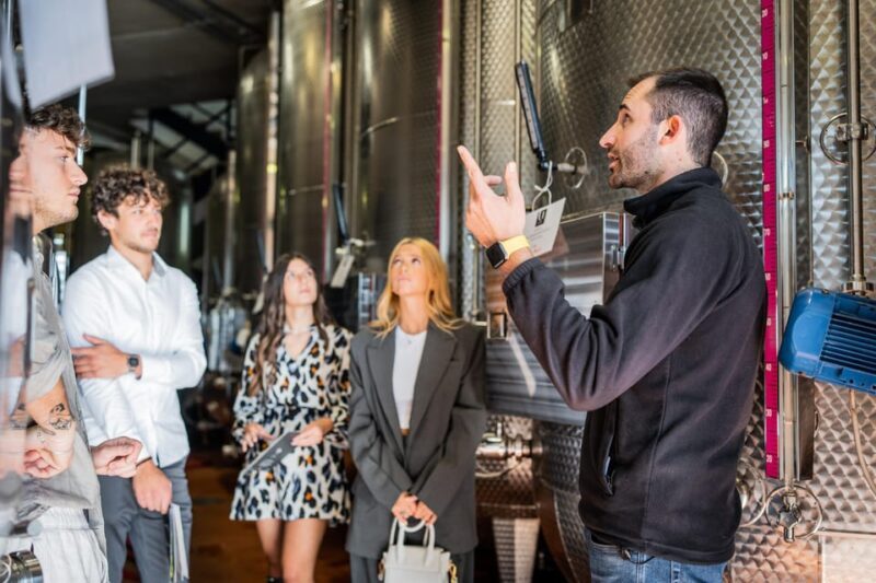 Valdobbiadene: Prosecco Tasting Experience - An Authentic Taste of Italy’s Sparkling Heritage