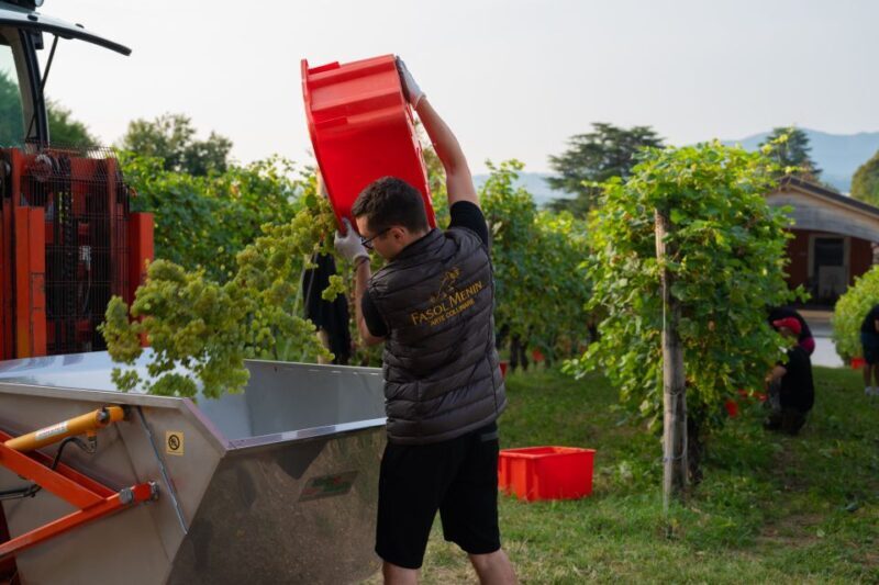 Valdobbiadene: Prosecco Tasting Experience - Logistics: Practical Details