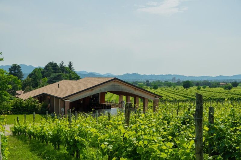 Valdobbiadene: Prosecco Tasting Experience - The Sum Up