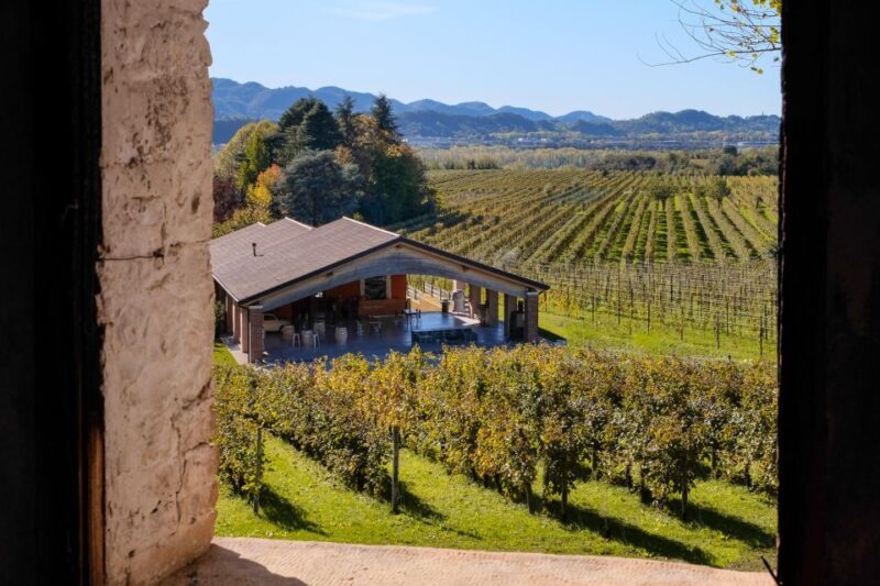 Valdobbiadene: Prosecco tasting where Art meets Wine - An In-Depth Look at the Experience