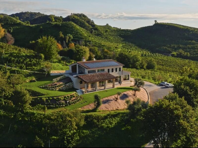 Valdobbiadene: Prosecco tasting with winery & vineyard tour - An In-Depth Look at the Tour