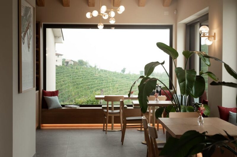 Valdobbiadene: Prosecco tasting with winery & vineyard tour - Who Will Love This Tour?