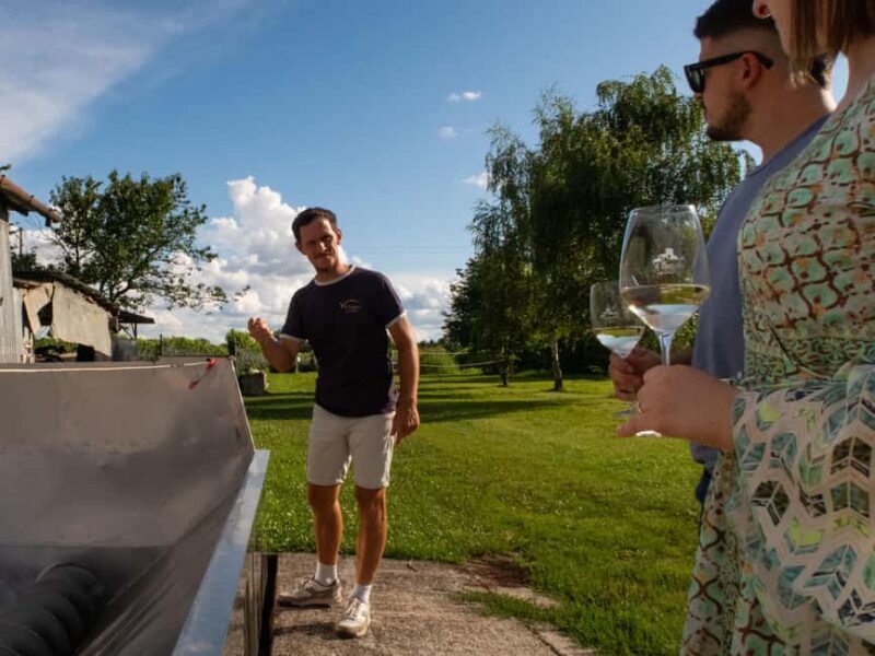 Valdobbiadene - Visit to the winery and tasting of DOCG Superiore wines - Key Points