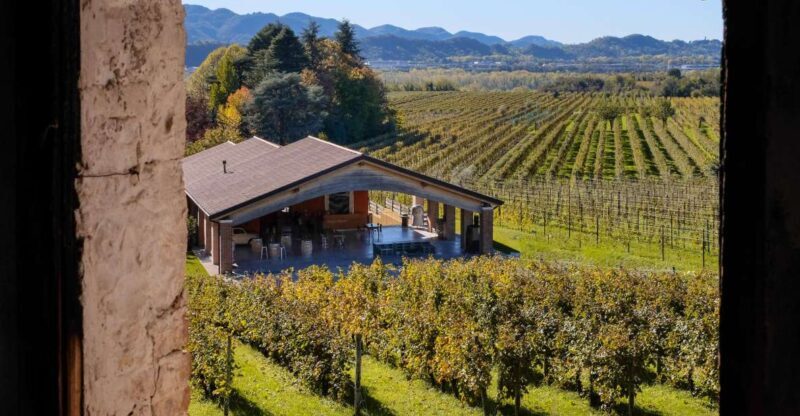 Valdobbiadene: Winery Tour with Wine and Food Tasting - Key Points