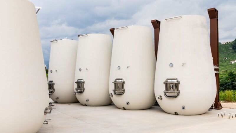 Valdobbiadene:Prosecco tasting,appetizers,winery & vineyard - Key Points