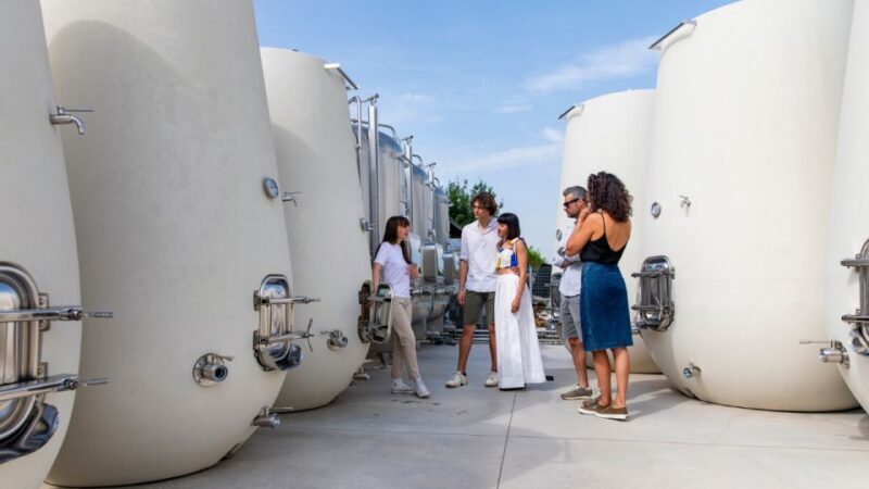 Valdobbiadene:Prosecco tasting,appetizers,winery & vineyard - An In-Depth Look at the Valdobbiadene Tour