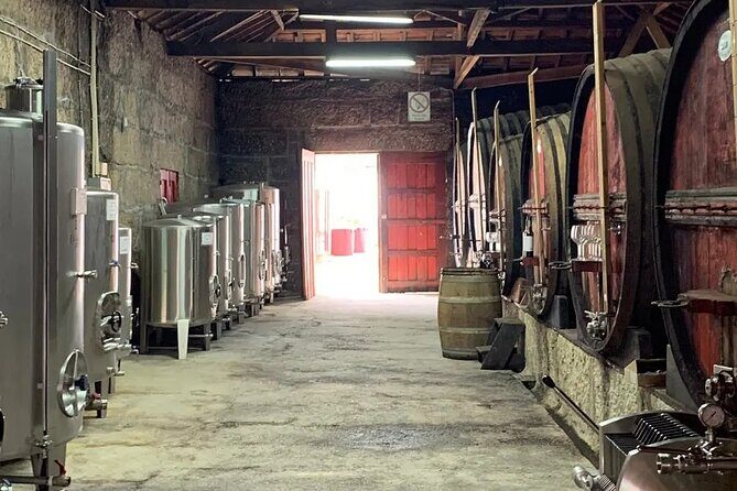 VALE DOURO: Premium Wine, Lunch Wine & Private Boat Tour - Value and Price Analysis