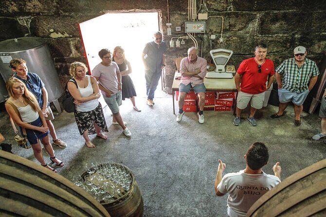 VALE DOURO: Premium Wine, Lunch Wine & Private Boat Tour - Authentic Experiences That Shine